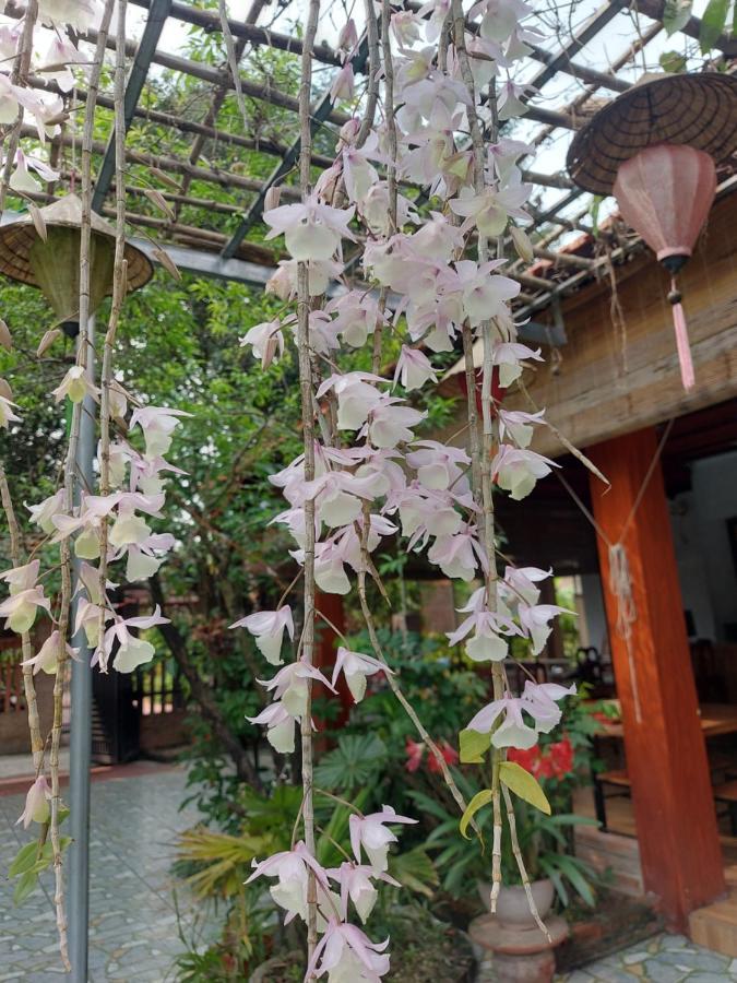Trang An Family Homestay Ninh Binh Exterior foto
