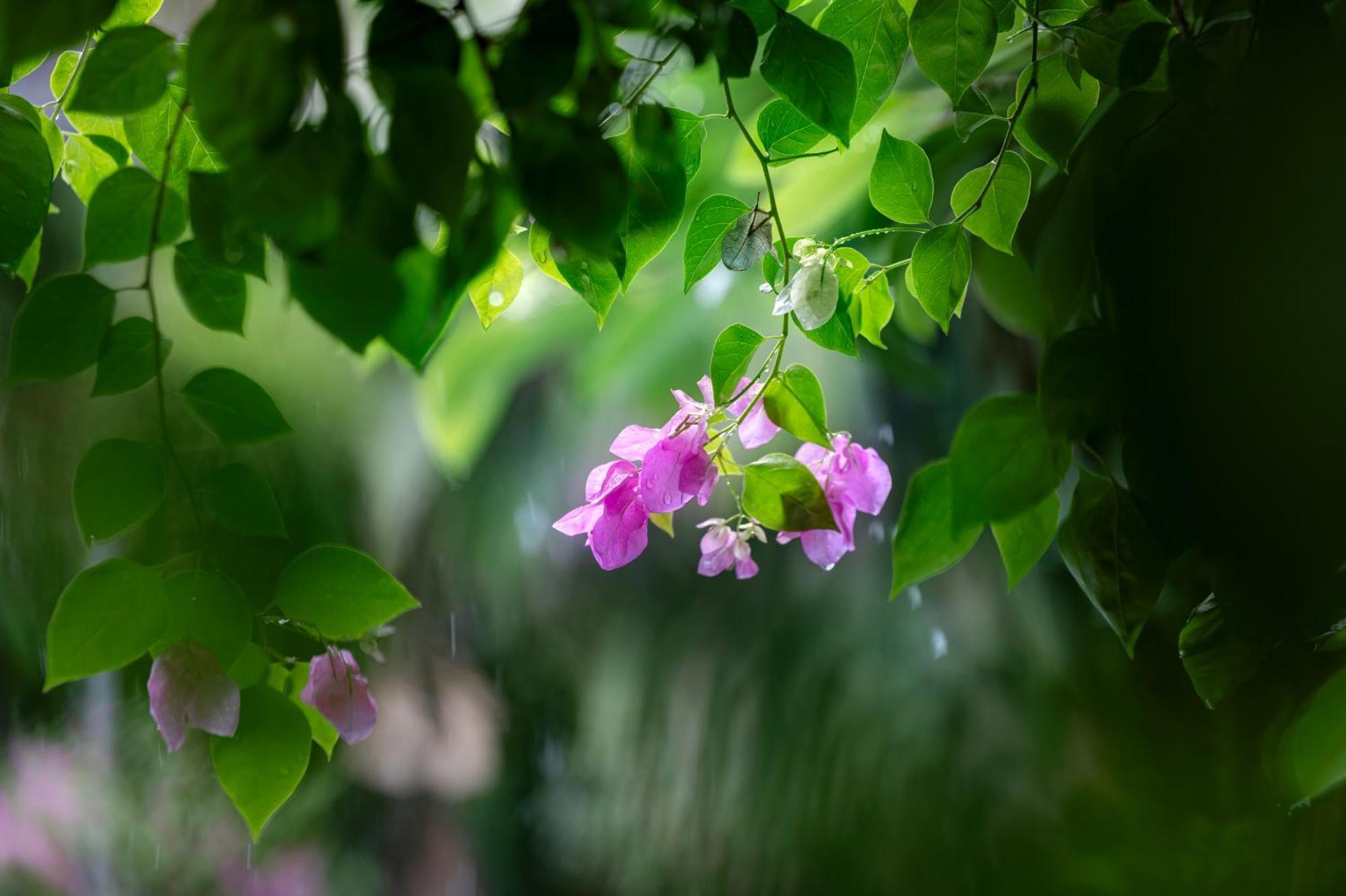 Trang An Family Homestay Ninh Binh Exterior foto